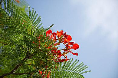 87版动画原班配音回归 《忍者龟：施莱德的复仇》将加入中文语音